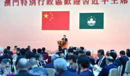 澳门政府最新爆料,揭秘背后惊人真相