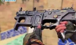 使命召唤最新出新枪爆料,神秘性能引发玩家热议